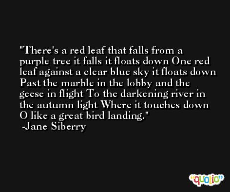 There's a red leaf that falls from a purple tree it falls it floats down One red leaf against a clear blue sky it floats down Past the marble in the lobby and the geese in flight To the darkening river in the autumn light Where it touches down O like a great bird landing. -Jane Siberry