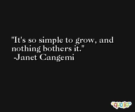 It's so simple to grow, and nothing bothers it. -Janet Cangemi