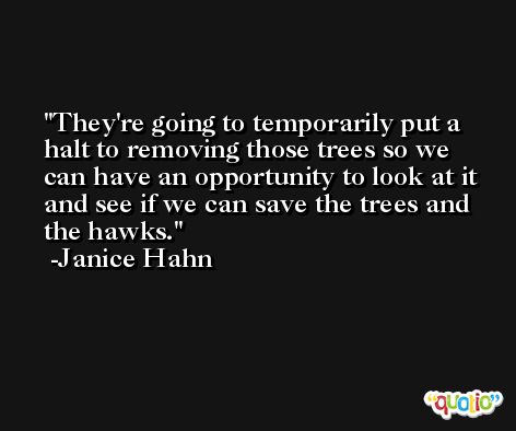 They're going to temporarily put a halt to removing those trees so we can have an opportunity to look at it and see if we can save the trees and the hawks. -Janice Hahn