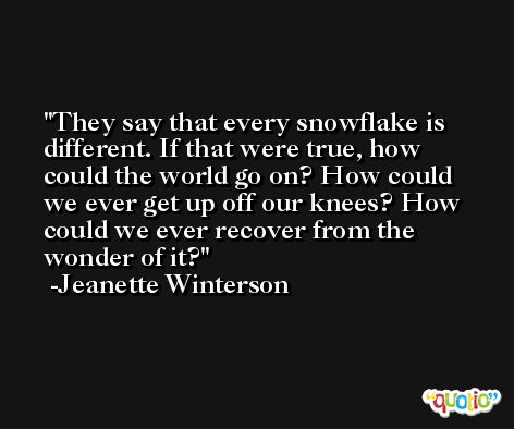 They say that every snowflake is different. If that were true, how could the world go on? How could we ever get up off our knees? How could we ever recover from the wonder of it? -Jeanette Winterson