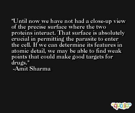 Until now we have not had a close-up view of the precise surface where the two proteins interact. That surface is absolutely crucial in permitting the parasite to enter the cell. If we can determine its features in atomic detail, we may be able to find weak points that could make good targets for drugs. -Amit Sharma