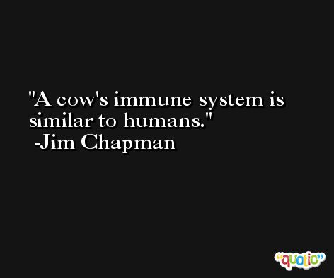A cow's immune system is similar to humans. -Jim Chapman
