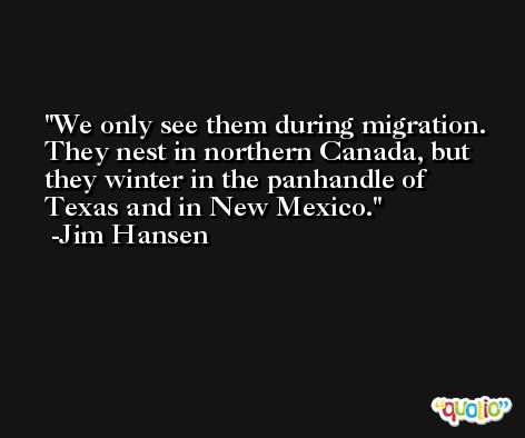 We only see them during migration. They nest in northern Canada, but they winter in the panhandle of Texas and in New Mexico. -Jim Hansen