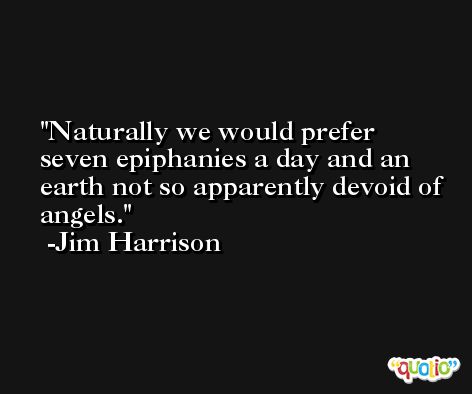 Naturally we would prefer seven epiphanies a day and an earth not so apparently devoid of angels. -Jim Harrison
