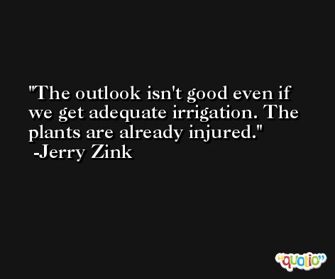The outlook isn't good even if we get adequate irrigation. The plants are already injured. -Jerry Zink