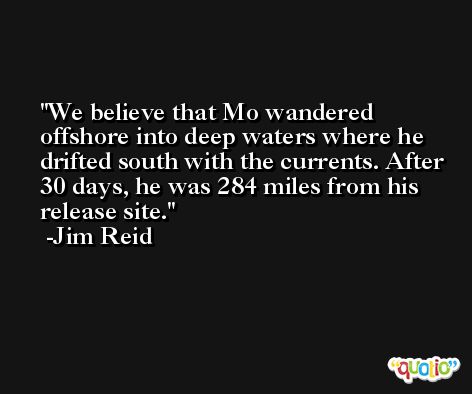 We believe that Mo wandered offshore into deep waters where he drifted south with the currents. After 30 days, he was 284 miles from his release site. -Jim Reid