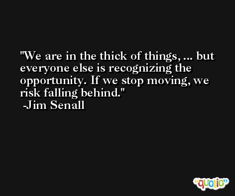 We are in the thick of things, ... but everyone else is recognizing the opportunity. If we stop moving, we risk falling behind. -Jim Senall