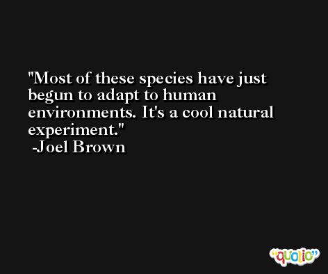 Most of these species have just begun to adapt to human environments. It's a cool natural experiment. -Joel Brown