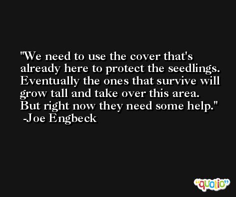 We need to use the cover that's already here to protect the seedlings. Eventually the ones that survive will grow tall and take over this area. But right now they need some help. -Joe Engbeck