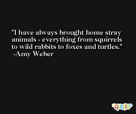 I have always brought home stray animals - everything from squirrels to wild rabbits to foxes and turtles. -Amy Weber