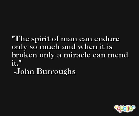 The spirit of man can endure only so much and when it is broken only a miracle can mend it. -John Burroughs