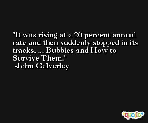 It was rising at a 20 percent annual rate and then suddenly stopped in its tracks, ... Bubbles and How to Survive Them. -John Calverley