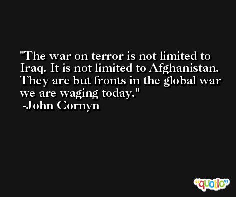 The war on terror is not limited to Iraq. It is not limited to Afghanistan. They are but fronts in the global war we are waging today. -John Cornyn