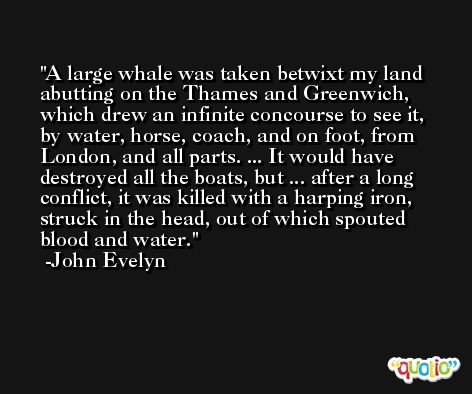 A large whale was taken betwixt my land abutting on the Thames and Greenwich, which drew an infinite concourse to see it, by water, horse, coach, and on foot, from London, and all parts. ... It would have destroyed all the boats, but ... after a long conflict, it was killed with a harping iron, struck in the head, out of which spouted blood and water. -John Evelyn