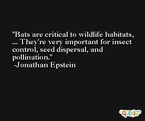 Bats are critical to wildlife habitats, ... They're very important for insect control, seed dispersal, and pollination. -Jonathan Epstein