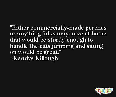 Either commercially-made perches or anything folks may have at home that would be sturdy enough to handle the cats jumping and sitting on would be great. -Kandys Killough