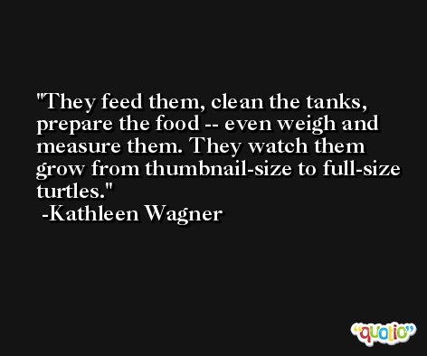 They feed them, clean the tanks, prepare the food -- even weigh and measure them. They watch them grow from thumbnail-size to full-size turtles. -Kathleen Wagner