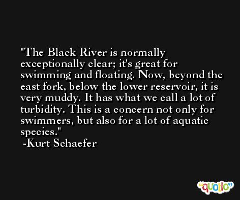 The Black River is normally exceptionally clear; it's great for swimming and floating. Now, beyond the east fork, below the lower reservoir, it is very muddy. It has what we call a lot of turbidity. This is a concern not only for swimmers, but also for a lot of aquatic species. -Kurt Schaefer