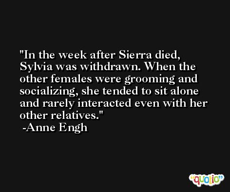 In the week after Sierra died, Sylvia was withdrawn. When the other females were grooming and socializing, she tended to sit alone and rarely interacted even with her other relatives. -Anne Engh