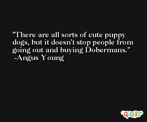 There are all sorts of cute puppy dogs, but it doesn't stop people from going out and buying Dobermans. -Angus Young