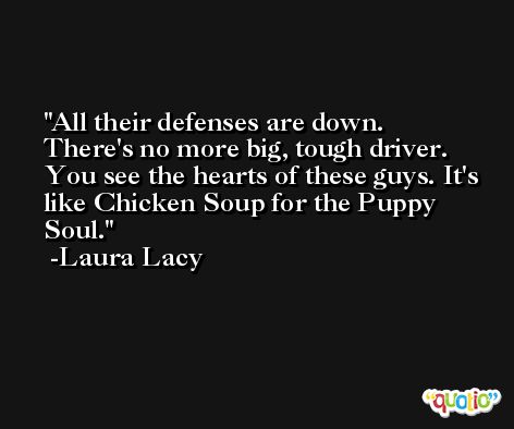 All their defenses are down. There's no more big, tough driver. You see the hearts of these guys. It's like Chicken Soup for the Puppy Soul. -Laura Lacy