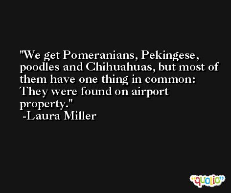 We get Pomeranians, Pekingese, poodles and Chihuahuas, but most of them have one thing in common: They were found on airport property. -Laura Miller