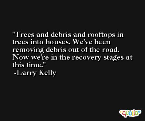 Trees and debris and rooftops in trees into houses. We've been removing debris out of the road. Now we're in the recovery stages at this time. -Larry Kelly