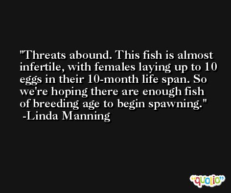 Threats abound. This fish is almost infertile, with females laying up to 10 eggs in their 10-month life span. So we're hoping there are enough fish of breeding age to begin spawning. -Linda Manning
