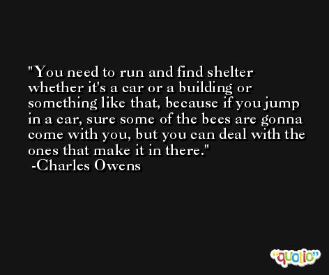 You need to run and find shelter whether it's a car or a building or something like that, because if you jump in a car, sure some of the bees are gonna come with you, but you can deal with the ones that make it in there. -Charles Owens