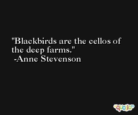 Blackbirds are the cellos of the deep farms. -Anne Stevenson