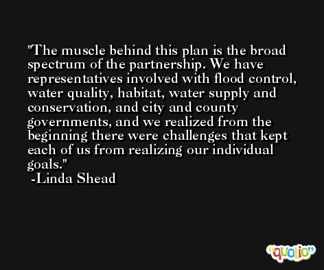 The muscle behind this plan is the broad spectrum of the partnership. We have representatives involved with flood control, water quality, habitat, water supply and conservation, and city and county governments, and we realized from the beginning there were challenges that kept each of us from realizing our individual goals. -Linda Shead