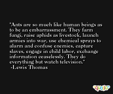 Ants are so much like human beings as to be an embarrassment. They farm fungi, raise aphids as livestock, launch armies into war, use chemical sprays to alarm and confuse enemies, capture slaves, engage in child labor, exchange information ceaselessly. They do everything but watch television. -Lewis Thomas