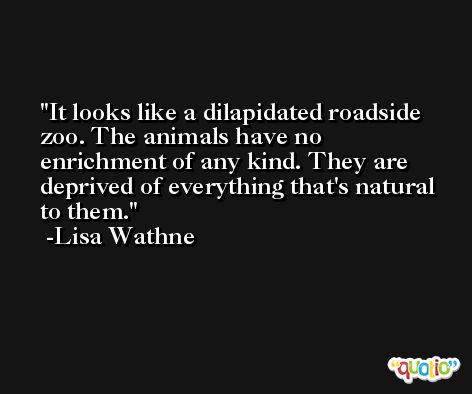 It looks like a dilapidated roadside zoo. The animals have no enrichment of any kind. They are deprived of everything that's natural to them. -Lisa Wathne