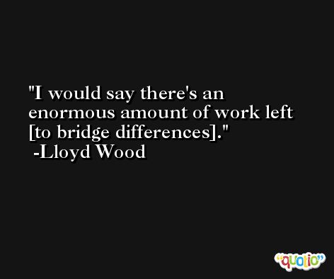 I would say there's an enormous amount of work left [to bridge differences]. -Lloyd Wood