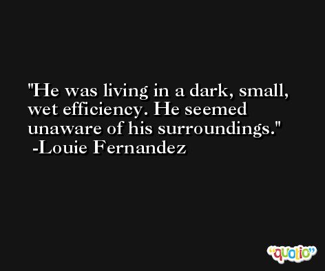 He was living in a dark, small, wet efficiency. He seemed unaware of his surroundings. -Louie Fernandez