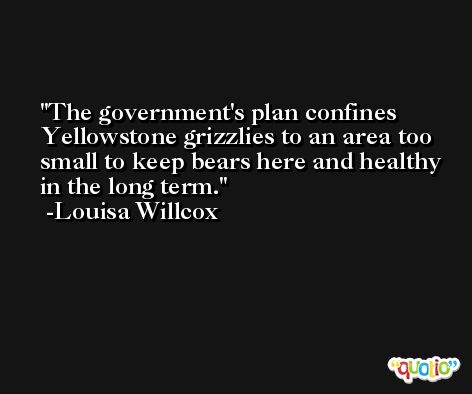 The government's plan confines Yellowstone grizzlies to an area too small to keep bears here and healthy in the long term. -Louisa Willcox