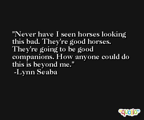 Never have I seen horses looking this bad. They're good horses. They're going to be good companions. How anyone could do this is beyond me. -Lynn Seaba