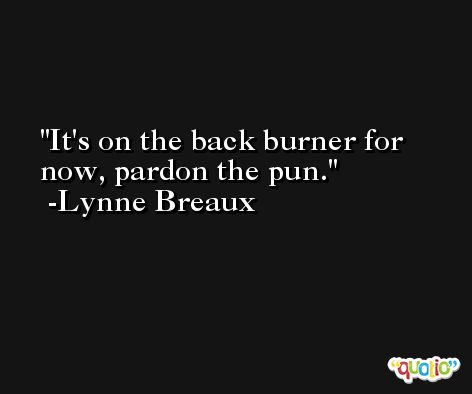 It's on the back burner for now, pardon the pun. -Lynne Breaux