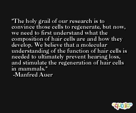 The holy grail of our research is to convince those cells to regenerate, but now, we need to first understand what the composition of hair cells are and how they develop. We believe that a molecular understanding of the function of hair cells is needed to ultimately prevent hearing loss, and stimulate the regeneration of hair cells in mammals. -Manfred Auer