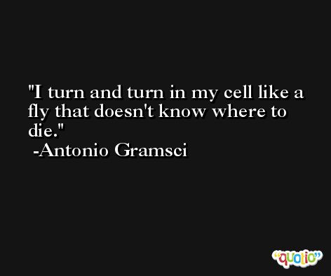 I turn and turn in my cell like a fly that doesn't know where to die. -Antonio Gramsci