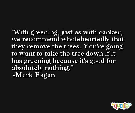 With greening, just as with canker, we recommend wholeheartedly that they remove the trees. You're going to want to take the tree down if it has greening because it's good for absolutely nothing. -Mark Fagan