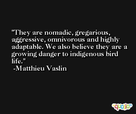 They are nomadic, gregarious, aggressive, omnivorous and highly adaptable. We also believe they are a growing danger to indigenous bird life. -Matthieu Vaslin