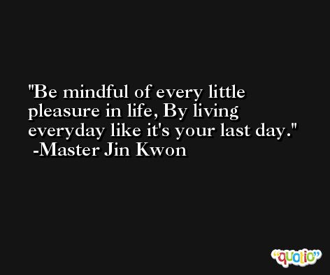 Be mindful of every little pleasure in life, By living everyday like it's your last day. -Master Jin Kwon