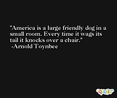 America is a large friendly dog in a small room. Every time it wags its tail it knocks over a chair. -Arnold Toynbee
