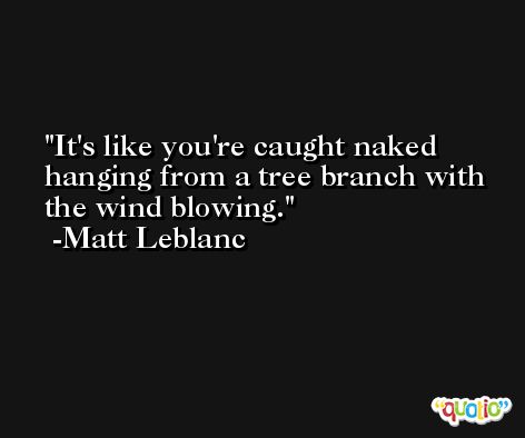 It's like you're caught naked hanging from a tree branch with the wind blowing. -Matt Leblanc
