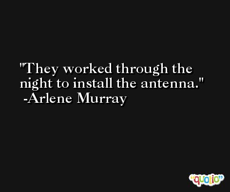 They worked through the night to install the antenna. -Arlene Murray