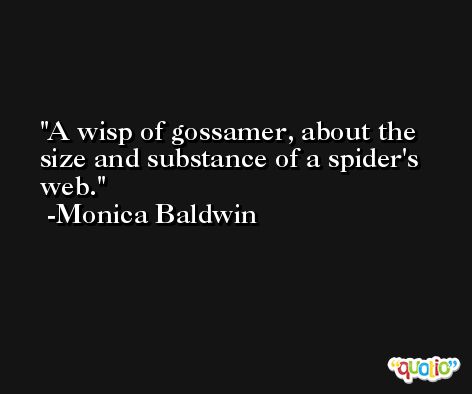 A wisp of gossamer, about the size and substance of a spider's web. -Monica Baldwin