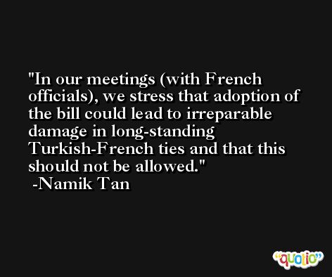 In our meetings (with French officials), we stress that adoption of the bill could lead to irreparable damage in long-standing Turkish-French ties and that this should not be allowed. -Namik Tan