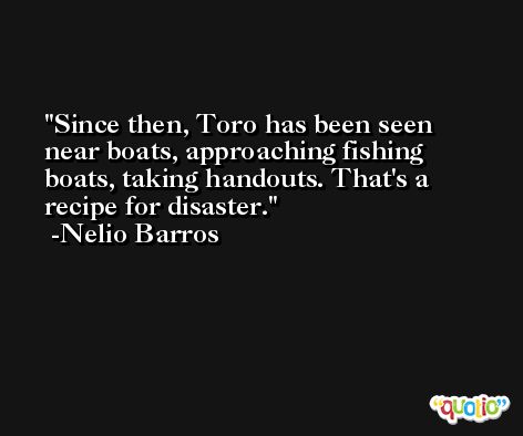 Since then, Toro has been seen near boats, approaching fishing boats, taking handouts. That's a recipe for disaster. -Nelio Barros