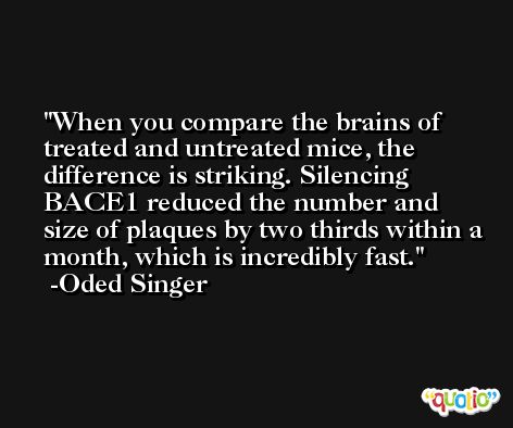 When you compare the brains of treated and untreated mice, the difference is striking. Silencing BACE1 reduced the number and size of plaques by two thirds within a month, which is incredibly fast. -Oded Singer